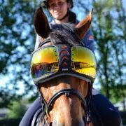 Horse Eye Wear Visor with UV Protection Lens - Orange