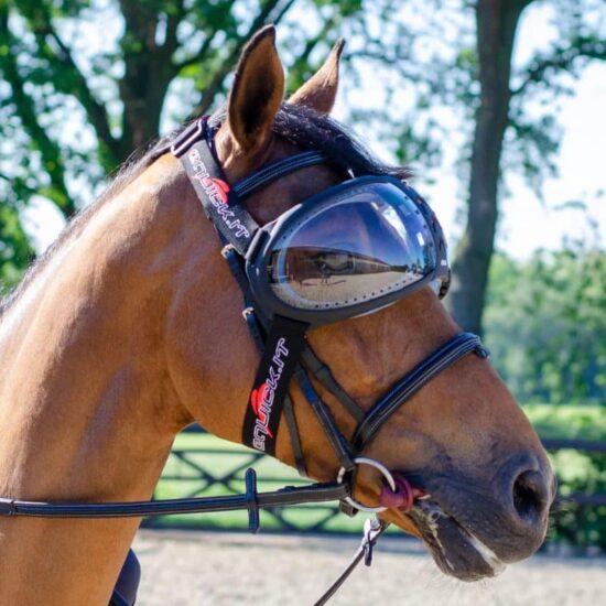 Horse Eye Wear Visor with UV Protection Lens - Transparent