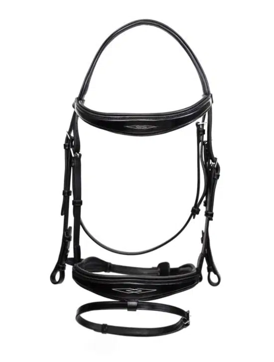 Fancy Stitched Padded Anatomic Show Jumping Bridle with Flash "Patna"