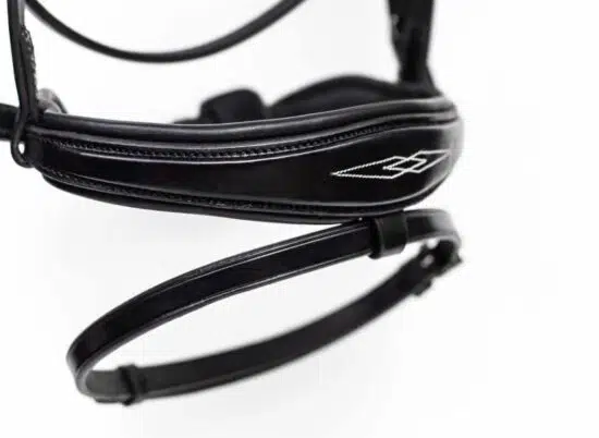 Fancy Stitched Padded Anatomic Show Jumping Bridle with Flash "Patna"