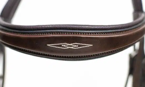 Fancy Stitched Padded Anatomic Show Jumping Bridle with Flash "Patna"