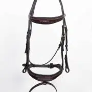 Fancy Stitched Padded Anatomic Show Jumping Bridle with Flash "Patna"