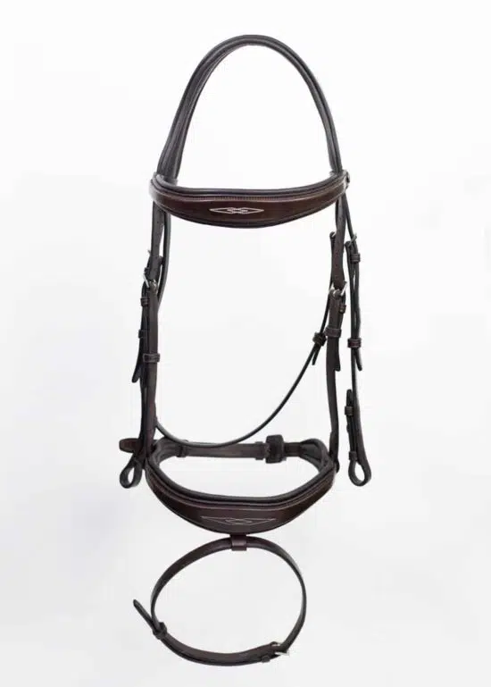 Fancy Stitched Padded Anatomic Show Jumping Bridle with Flash "Patna"