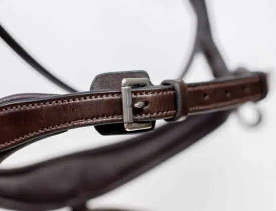 Fancy Stitched Padded Anatomic Show Jumping Bridle with Flash "Patna"