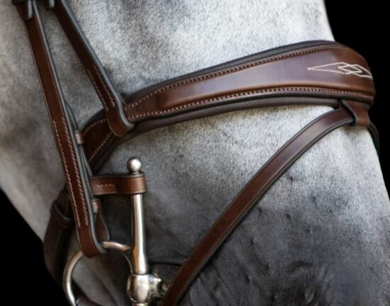 Fancy Stitched Anatomic Padded Show Jumping Bridle "Patna"