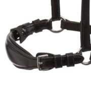 Schockemoehle Sports Anatomic Dressage Bridle with Drop Noseband "Seattle"