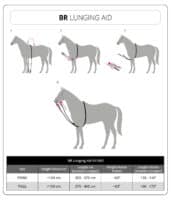 BR Cotton Lunging Aid - How To Use