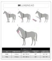 BR Cotton Lunging Aid - How To Use