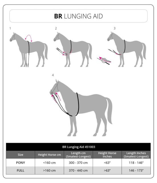 BR Cotton Lunging Aid - How To Use