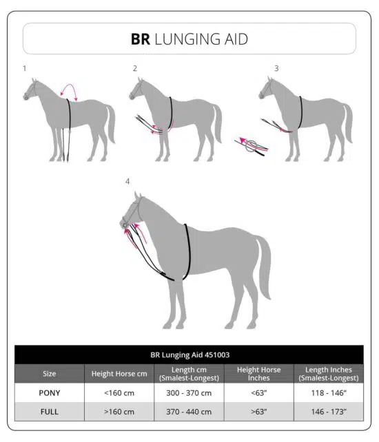 BR Cotton Lunging Aid - How To Use