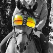 eQuick Brand - TackNRider