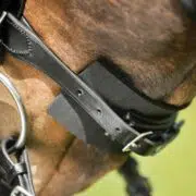 Waldhausen Bridle Pad Antislip Foam anti-chafing