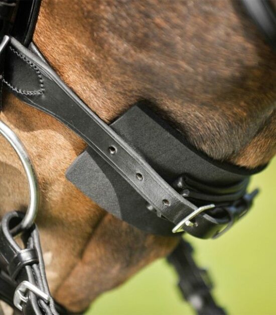 Waldhausen Bridle Pad Antislip Foam anti-chafing