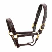 Walsh Signature Padded Halter S5000 1" Wide English Leather