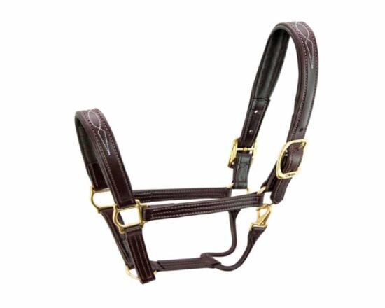 Walsh Signature Padded Halter S5000 1" Wide English Leather