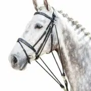 Prestige Horse Training Gogue for Freeing the Shoulders E46