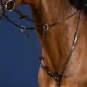 Dyon Elastic Running Martingale Attachment