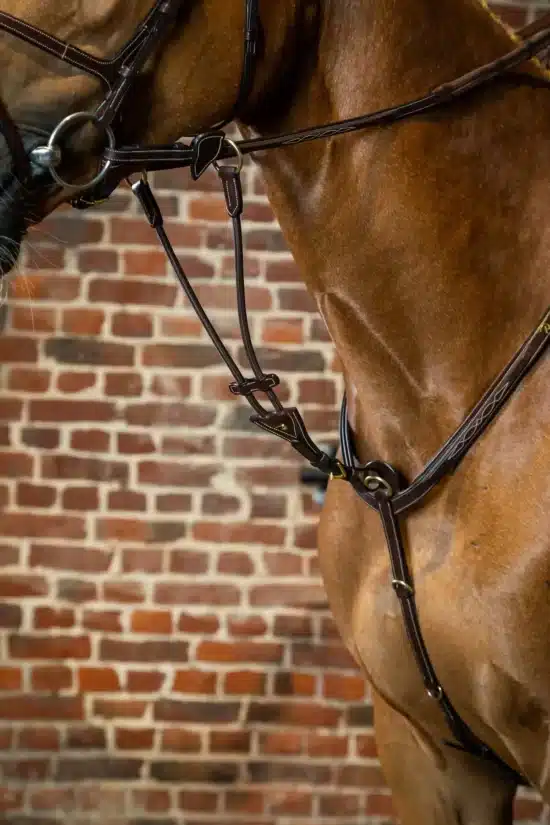 Dyon Elastic Running Martingale Attachment with Sliding Tab - Brown/Gold