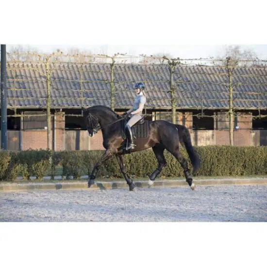 LeMieux Carbon Mesh Dressage Square Saddle Pad 6742 - Black
