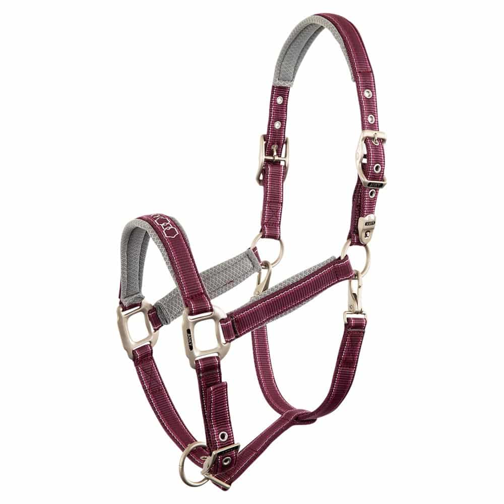 Anky Adjustable Halter Mesh Chic with 3D Mesh Lining at Noseband