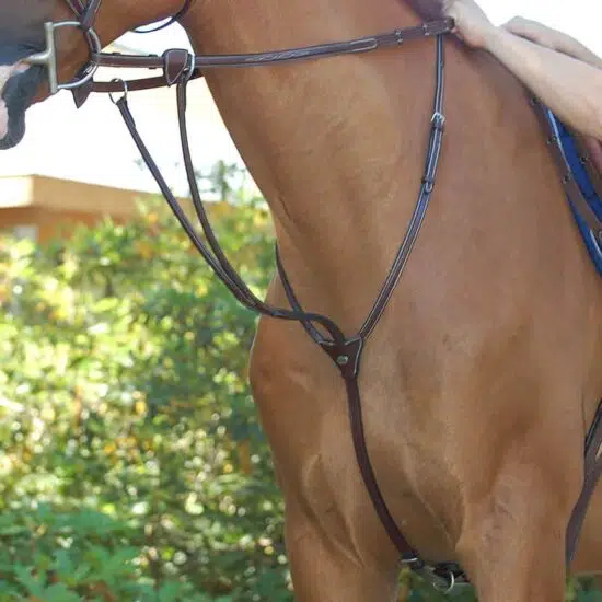 Dyon Running Martingale B591