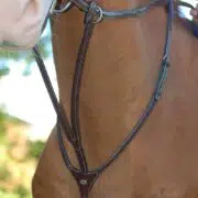 Dyon Running Martingale B591