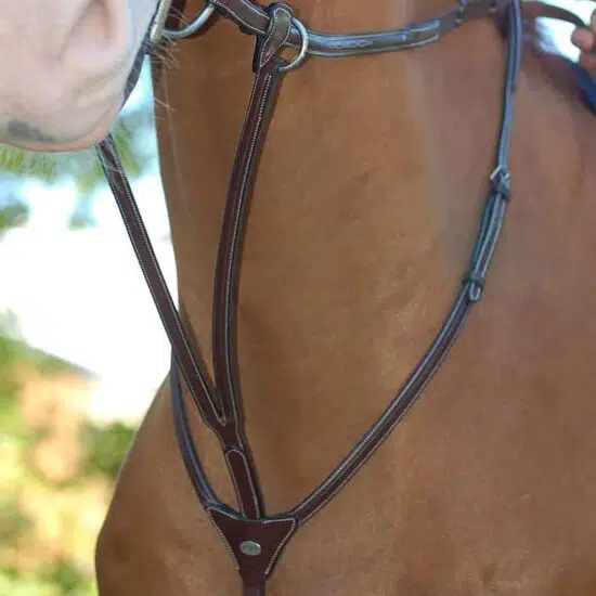 Dyon Running Martingale B591