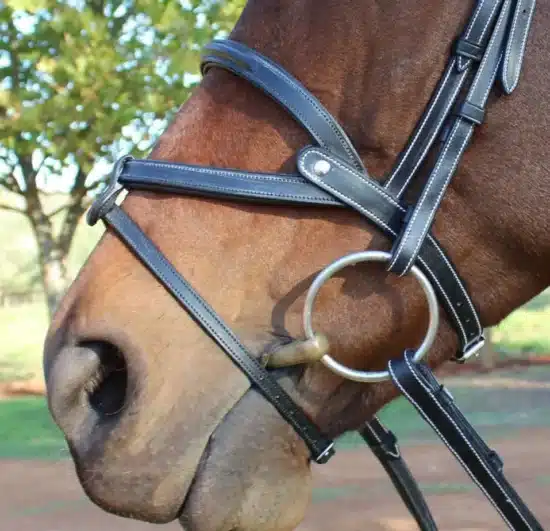 Silver Crown Brazilian Noseband