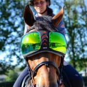 eQuick "eVysor" Horse Goggles - Mirrored Green