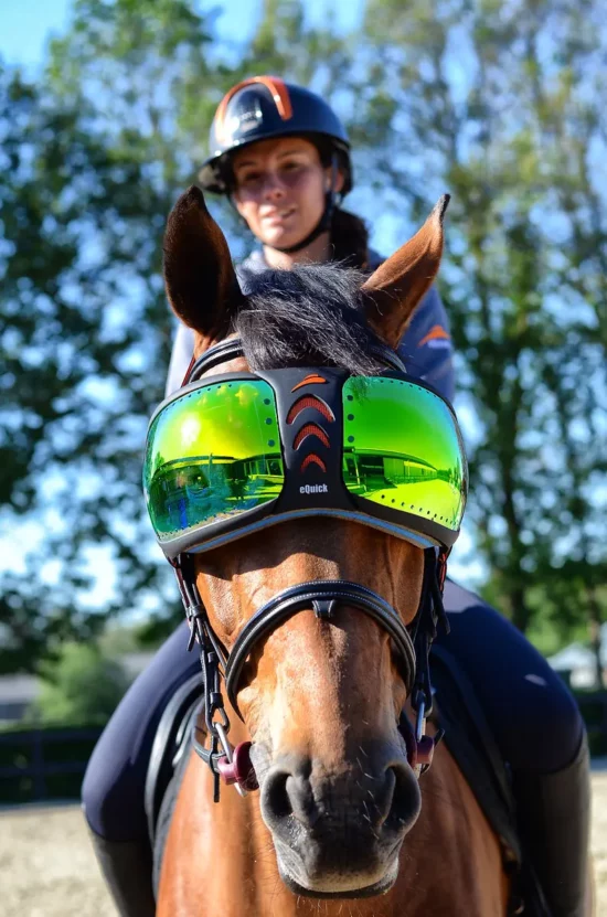 eQuick "eVysor" Horse Goggles - Mirrored Green