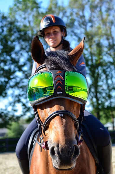 eQuick Horse Sunglasses eVysor Mirrored Green