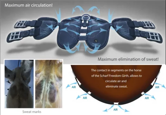 Scharf Freedom Girth - Benefits