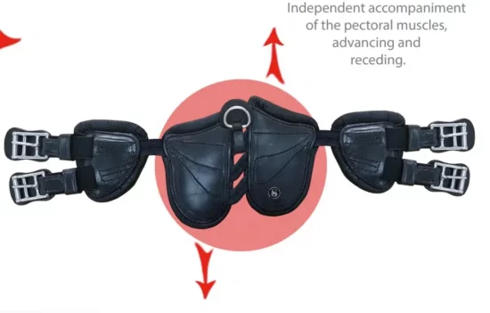 Scharf Freedom Dressage Girth - Independent Movement