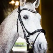 VRTACK Dressage Snaffle Bridle "Goa"