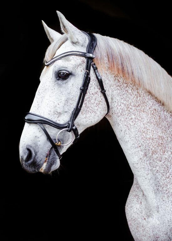 VRTACK Dressage Snaffle Bridle "Goa"