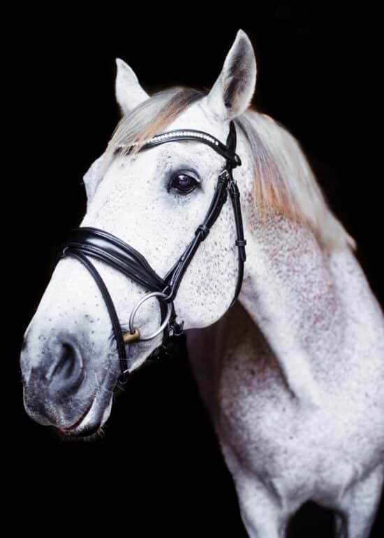 VRTACK Dressage Bridle "Delhi" Anatomic Snaffle - Black