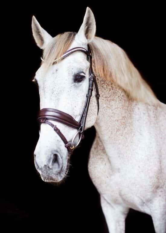 VRTACK Dressage Bridle "Delhi" Anatomic Snaffle - Brown