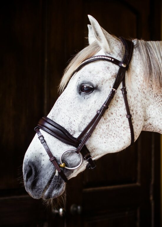 VRTACK Dressage Bridle "Delhi" Anatomic Snaffle - Brown