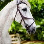 VRTACK Figure 8 Bridle "Los Cabos" Padded Anatomic Fancy Stitched