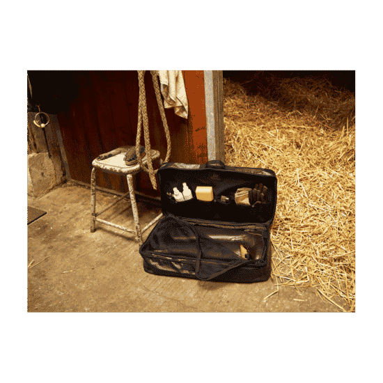 Horse and Travel Boot Bag