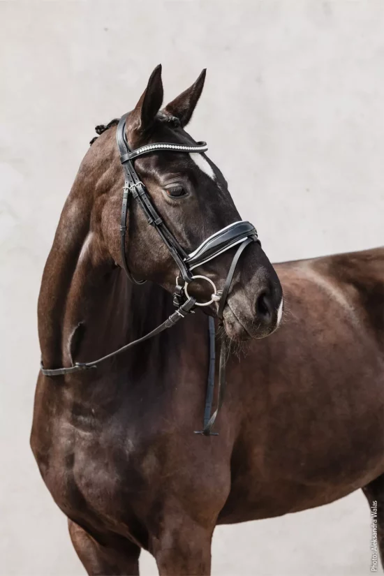 Schockemoehle Sports Dressage Bridle Malibu "Black/White"