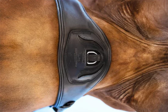 Schockemoehle Sports Dressage Girth "Pittsburg Stretch"