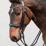 Schockemoehle Sports Bridle "Milton" Anatomic Double Dressage Tapered Noseband with Crank