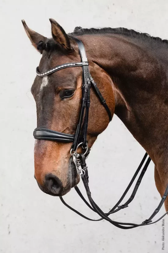 Schockemoehle Sports Bridle "Milton" Anatomic Double Dressage Tapered Noseband with Crank