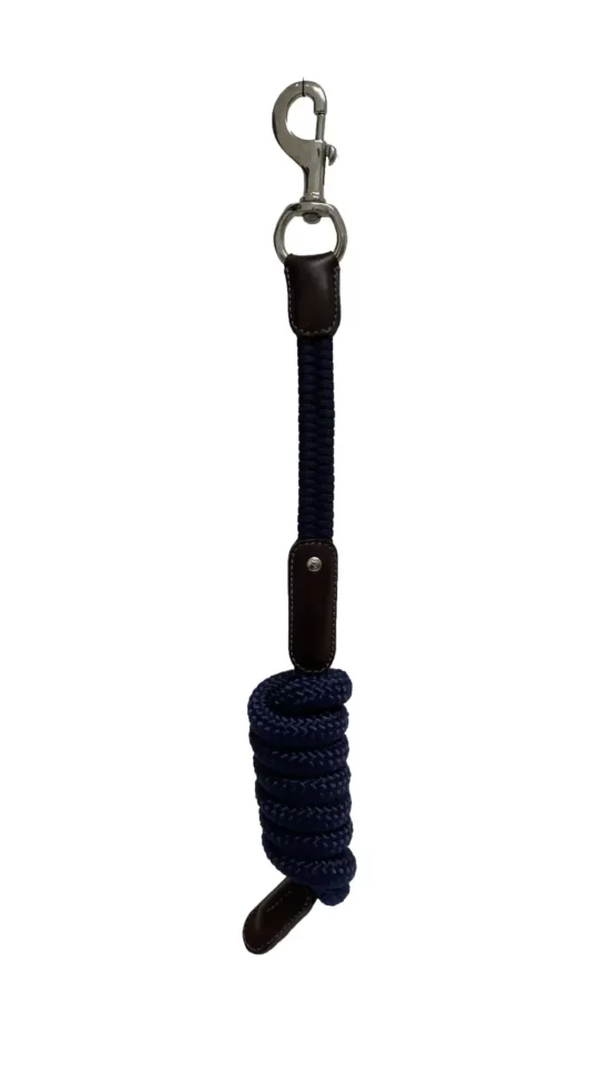 Silver Crown Paracord Rope Lead