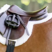 Equifit Essential Hunter Pad