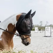 Kentucky Slim Fit Fly Mask