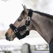 Kentucky Shipping Halter Sheepskin