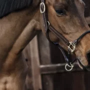 Kentucky Leather Rope Halter