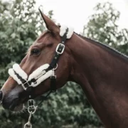 Kentucky Nylon Halter with Sheepskin